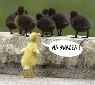 3waza