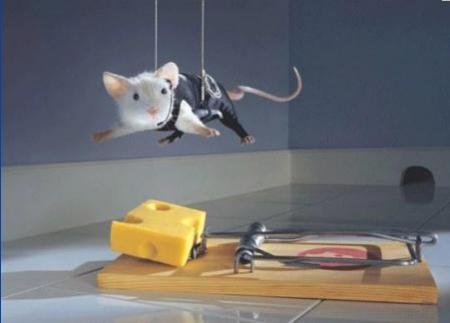 souris en mission