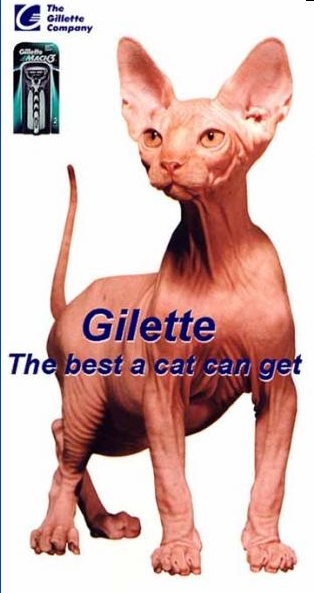 gilette