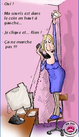 souris