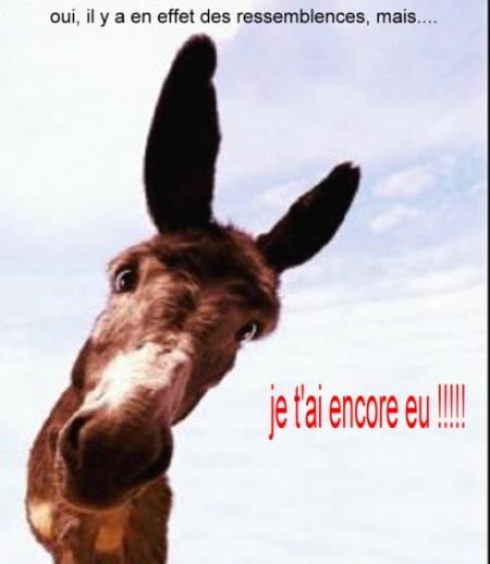 ressemblance
