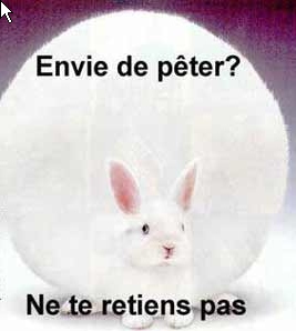 lapin