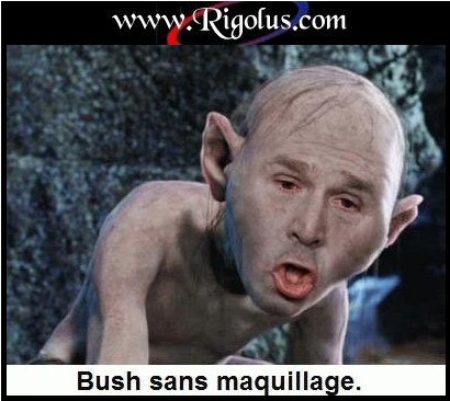 bush