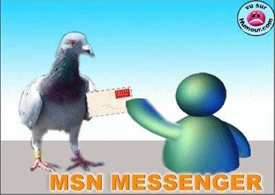 msn_messenger