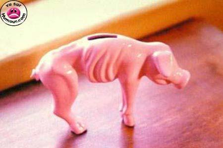 Tirelire_Euro