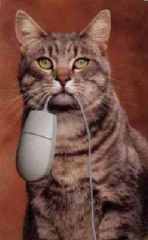 chat - souris