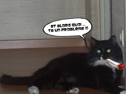 chat